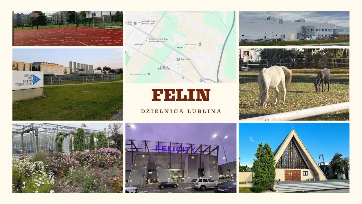 Felin